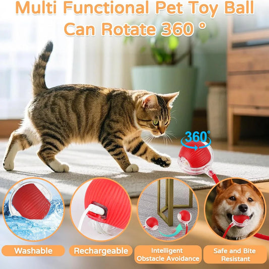 2-Pack Smart Cat Toy Balls – Auto Rolling Rechargeable Toys with Faux Tail for Indoor Play & Training